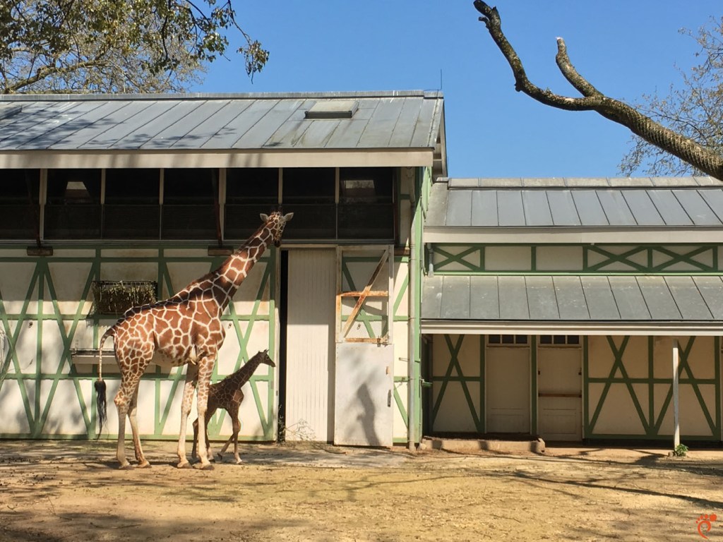 Зоологическа градина, Амстердам