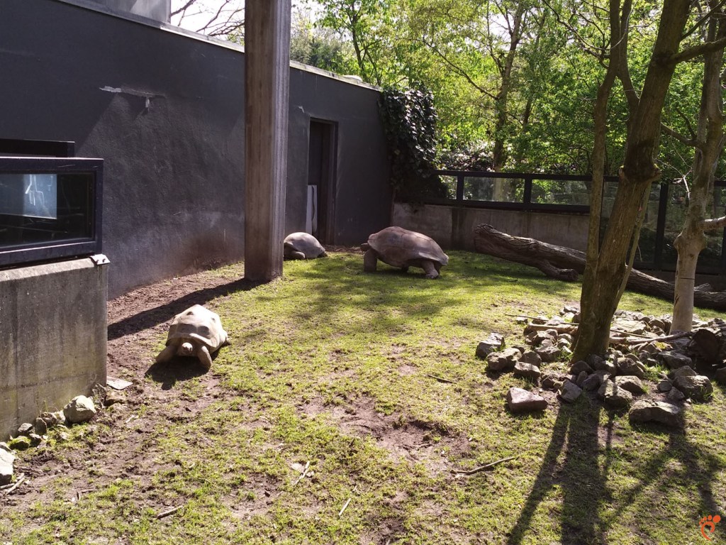 Зоологическа градина, Амстердам