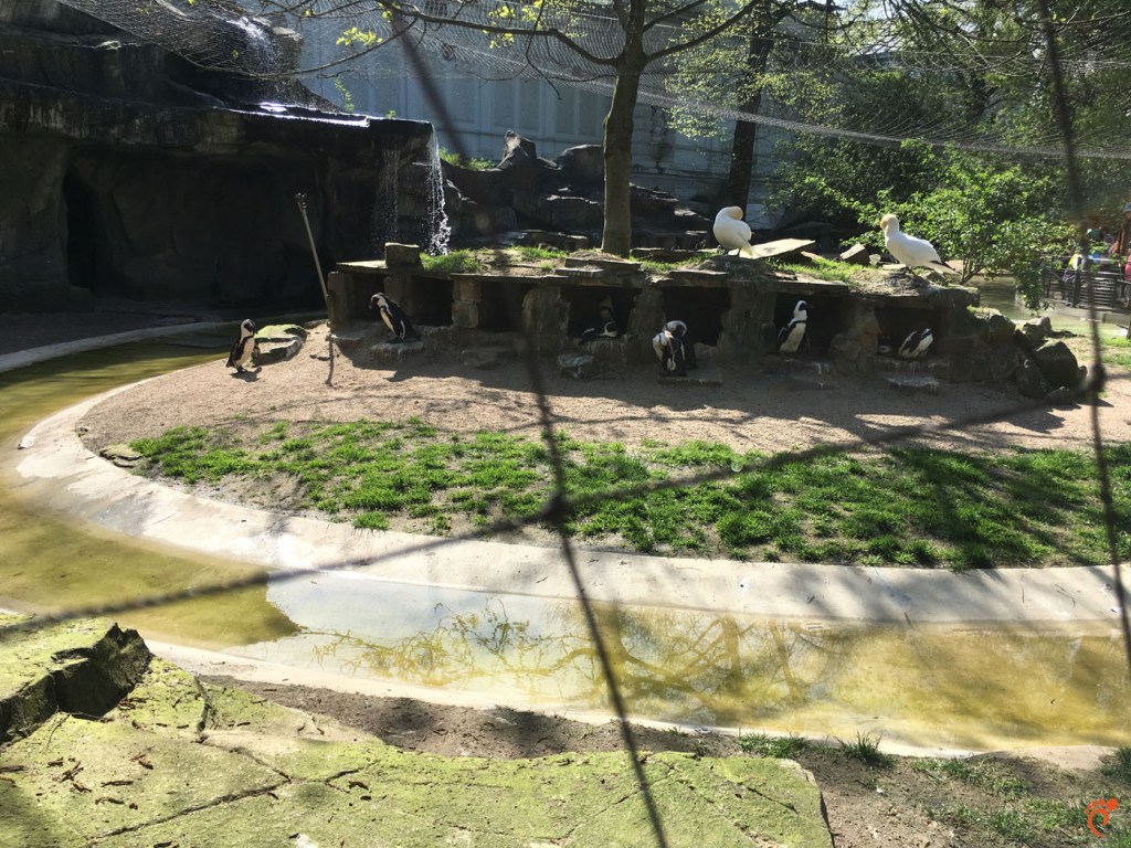 Зоологическа градина - Амстердам