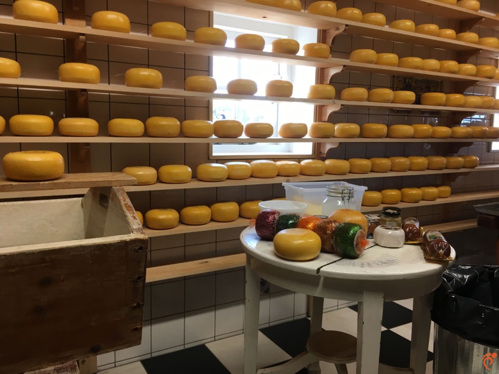 cheese, Amsterdam